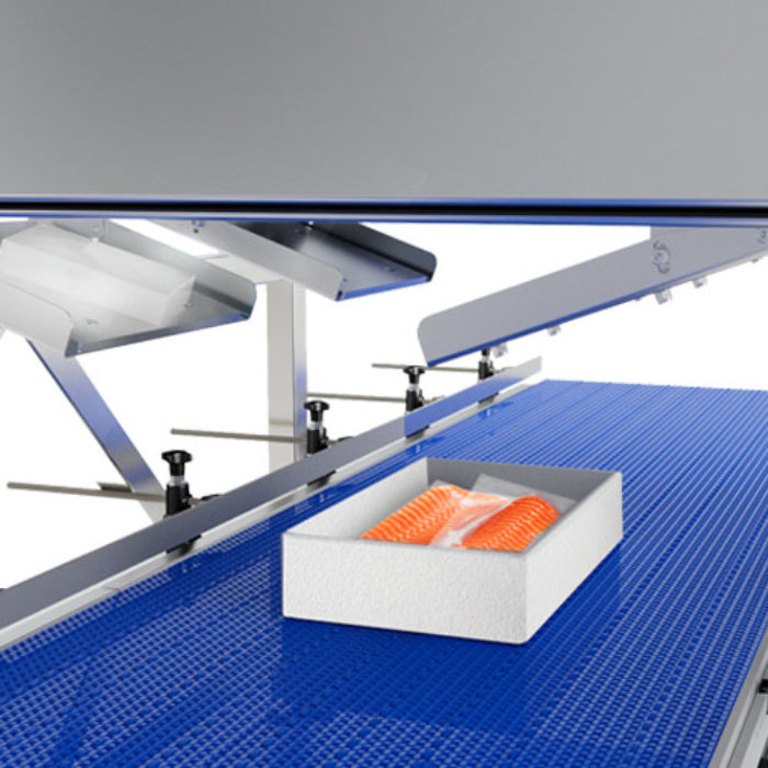 Förderband mit Styroporbox, die frischen Lachs enthält und unter einer Trockeneisscheibenproduktionsmaschine automatisch mit Trockeneis zur Lebensmittelkühlung befüllt wird.