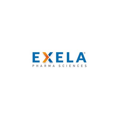 Exela Logo - Dry Ice